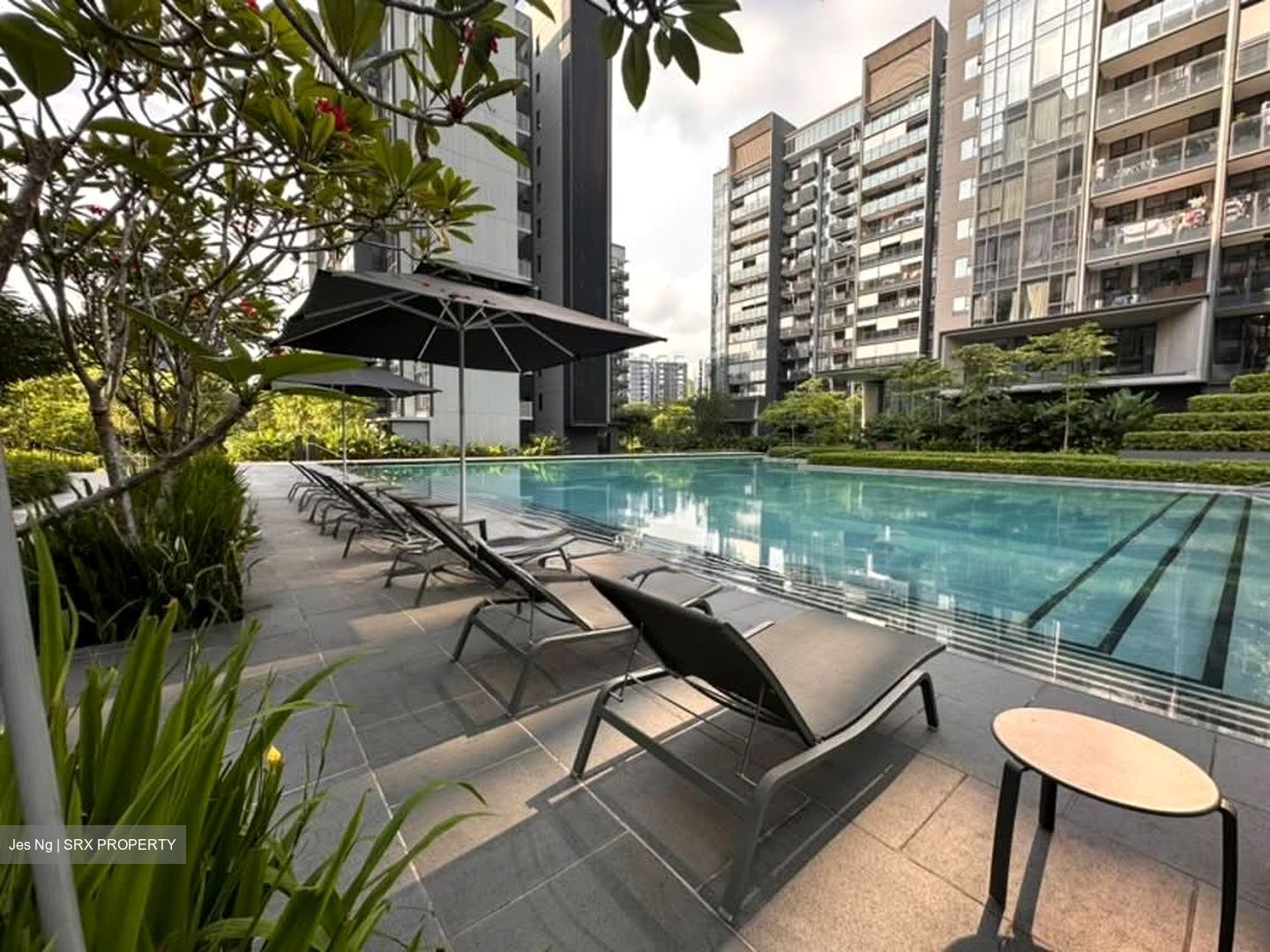 Leedon Green (D10), Condominium #554927511